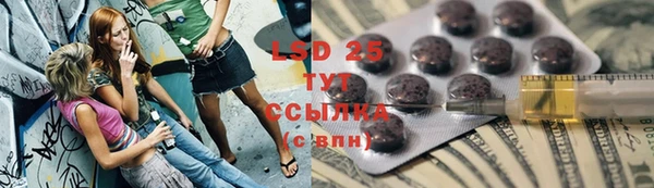 ПСИЛОЦИБИНОВЫЕ ГРИБЫ Алзамай
