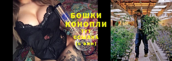 ПСИЛОЦИБИНОВЫЕ ГРИБЫ Алзамай