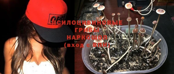 ПСИЛОЦИБИНОВЫЕ ГРИБЫ Алзамай