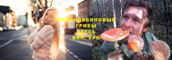 кокс Нея