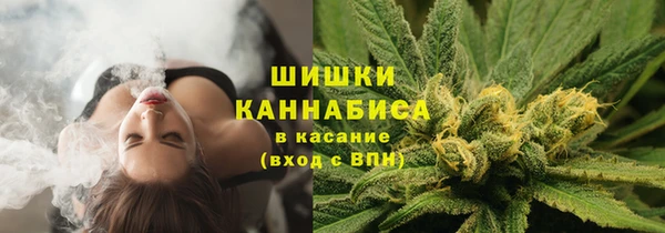 ПСИЛОЦИБИНОВЫЕ ГРИБЫ Алзамай